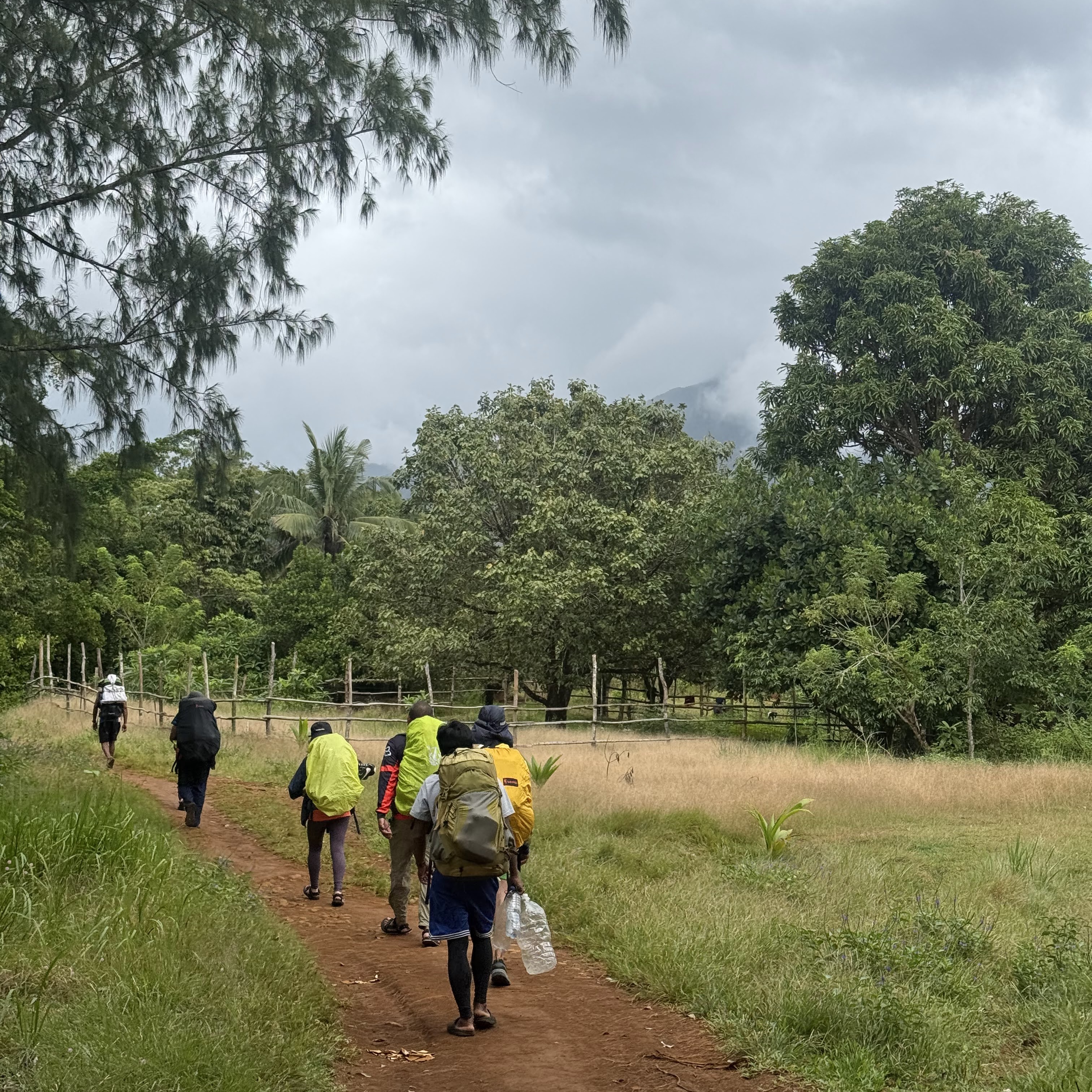 Descending the Muddy Forest Slopes