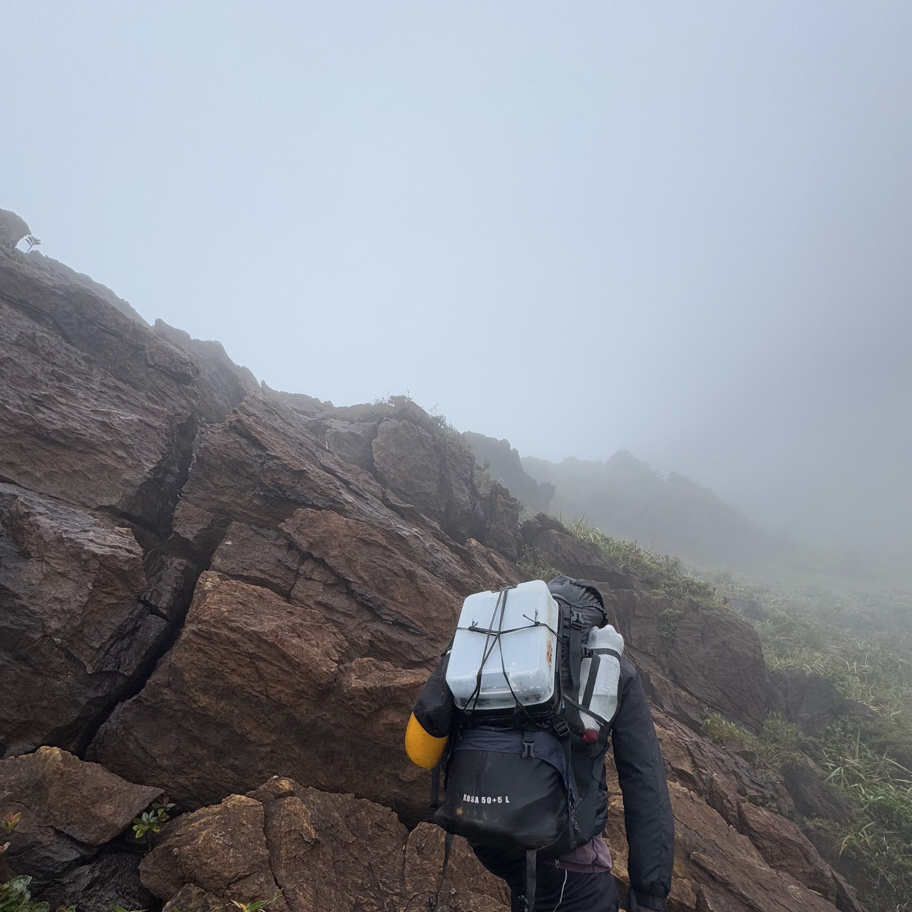 Trekking Through the Dense Olango Canopy